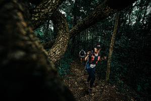 BIB: 
                            <button type="button" onclick="openModal(25694684)" class="btn btn-primary btn-sm float-right btn-popup" data-toggle="modal" data-target=".modal-high-quality">
                        <i class="fas fa-shopping-cart"></i> Add to Cart
                    </button>
                                            <button type="button" onclick="isThisMe(25694684, true)" class="btn btn-success btn-sm float-right btn-popup btn-isme hidden" data-toggle="tooltip" data-placement="bottom" title="นี่คือรูปของคุณใช่ไหม คลิกที่นี่เพื่อเอาเข้าอัลบั้ม">
                        <i class="fas fa-plus"></i> Add to album
                    </button>
                    <button type="button" onclick="isThisMe(25694684, false)" class="btn btn-warning btn-sm float-right btn-popup btn-isnotme hidden">
                        <i class="fas fa-ban"></i> Remove from album
                    </button>